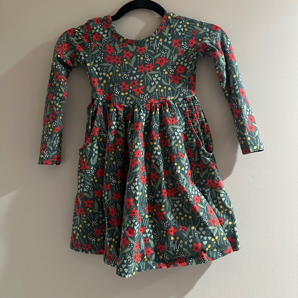 Hanna Andersson‎ Floral Skater Dress Kids 5 Teal Red Long Sleeve Girls Pockets